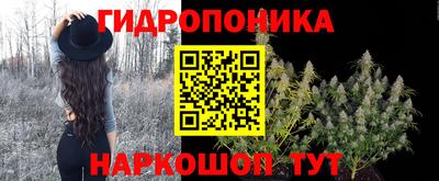 сатива Лесосибирск