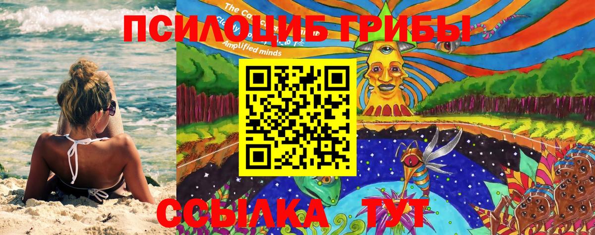 Джанкой  Псилоцибиновые грибы прущие грибы  Вход с VPN 