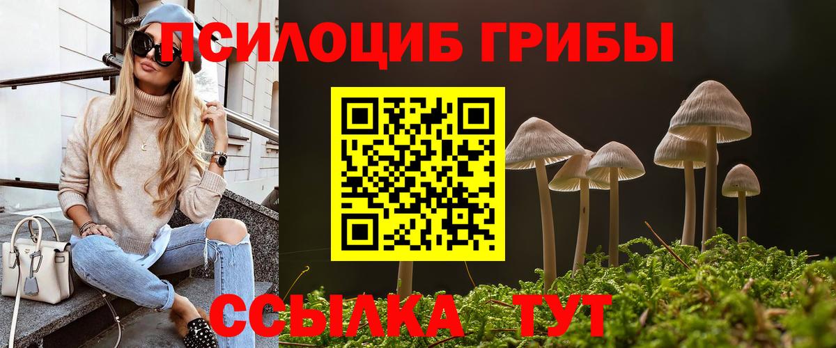 Псилоцибиновые грибы Psilocybine cubensis Джанкой